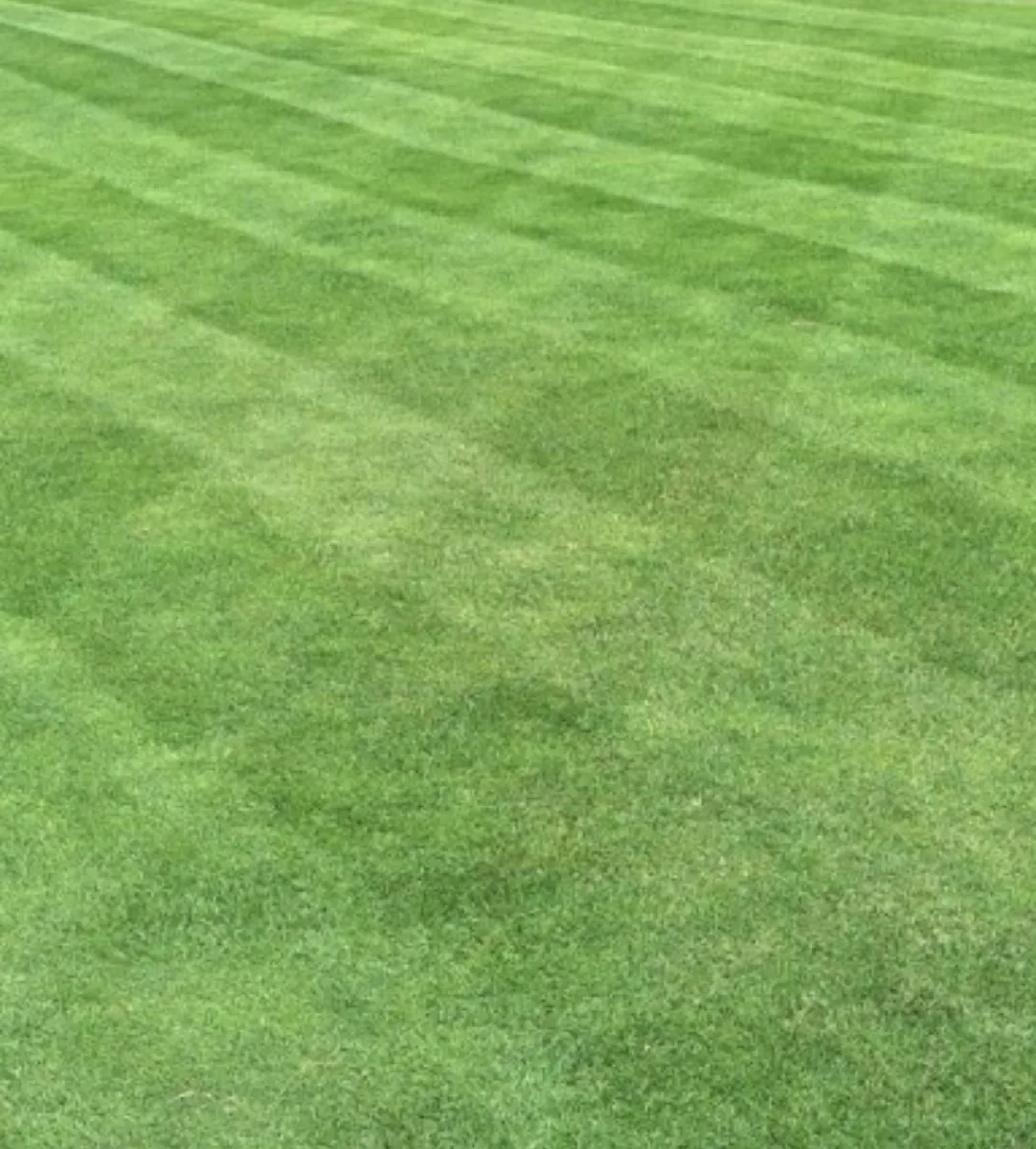 A pristine, freshly mowed green lawn with clean mowing stripes