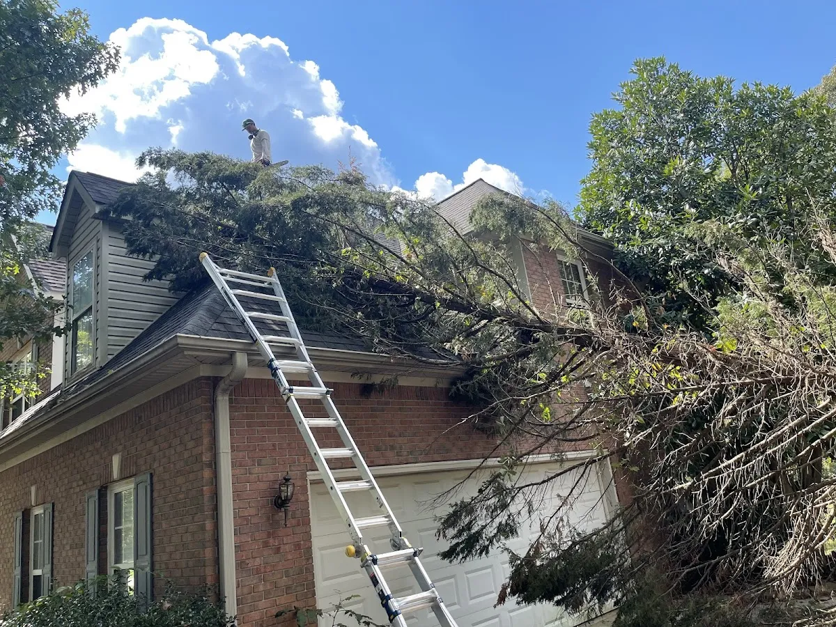Storm-fallen tree being cleared from a home's roof and yard